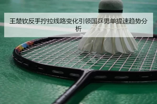 王楚钦反手拧拉线路变化引领国乒男单提速趋势分析