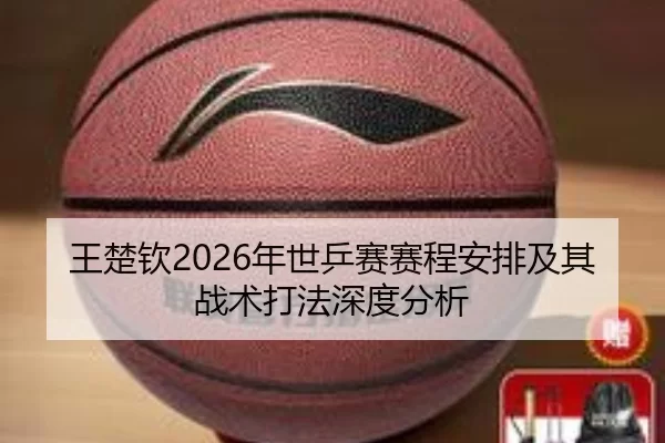 wang-chu-qin-nian-shi-ping-sai-sai-cheng-an-pai-ji-qi-zhan-shu-da-fa-shen-du-fen-xi-2-803.jpg