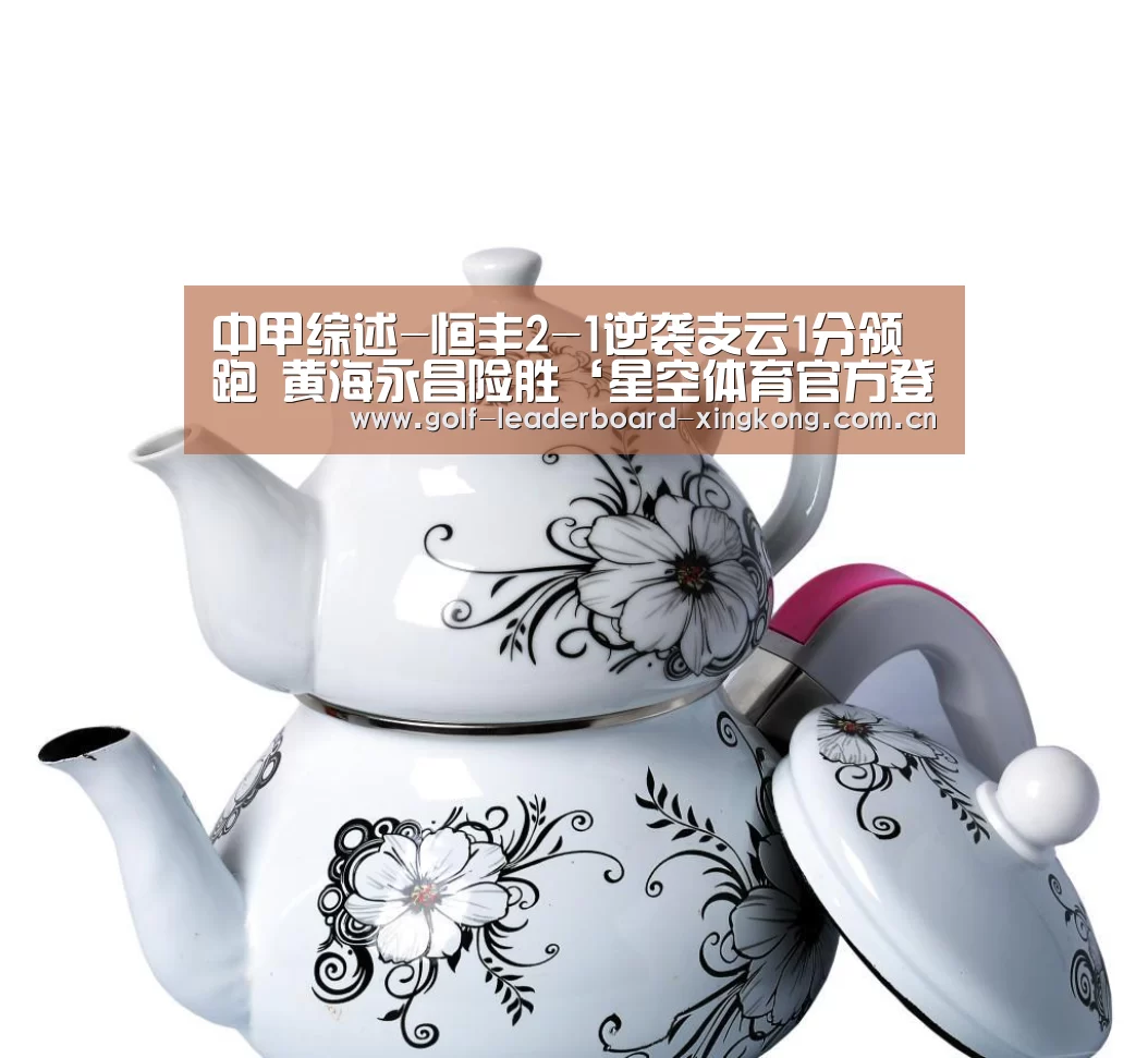 中甲综述-恒丰2-1逆袭支云1分领跑 黄海永昌险胜‘星空体育官方登录’(图2) 星空体育娱乐