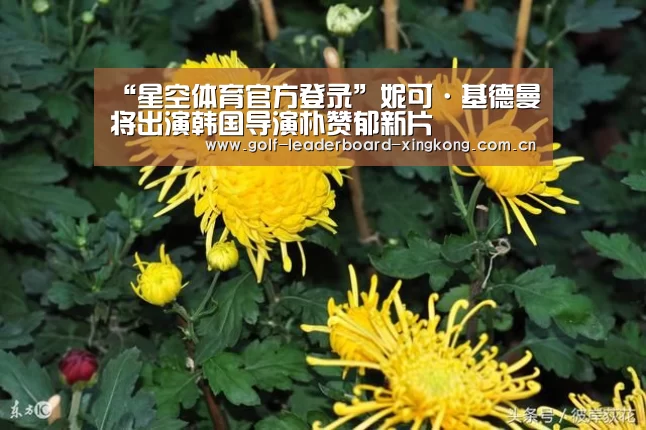 “星空体育官方登录”妮可·基德曼将出演韩国导演朴赞郁新片(图3) 星空体育娱乐
